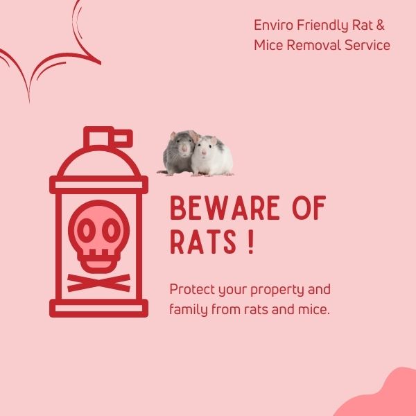 Enviro Friendly Rat & Mice Removal Service